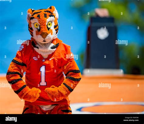 Clemson tiger mascot tag